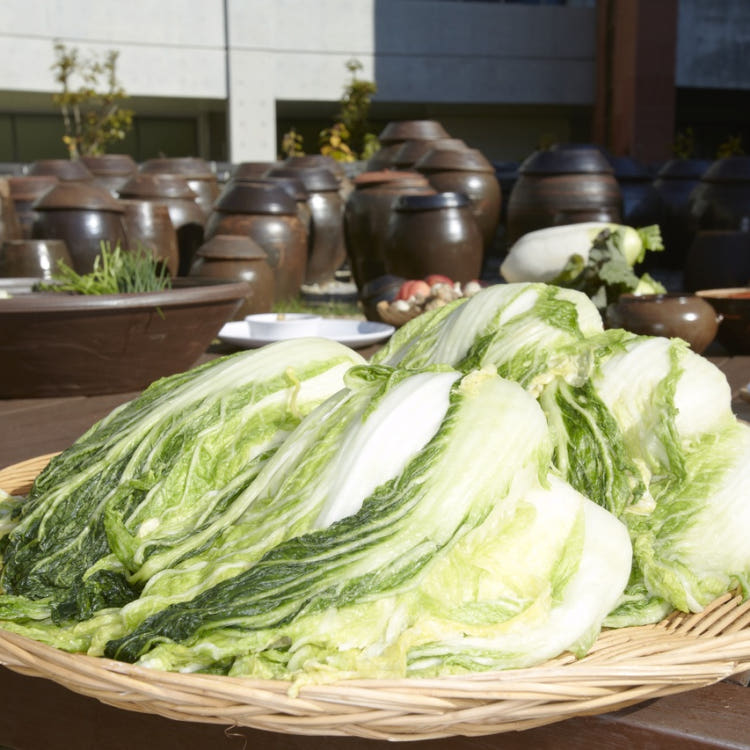 25년 국내산 괴산 청결 절임배추 20kg